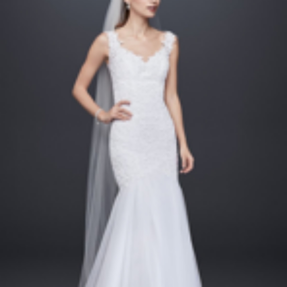 David's Bridal Wedding dress.